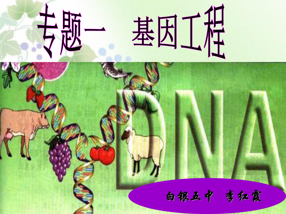 選修三11《DNA重組技術(shù)的基本工具》_第1頁(yè)