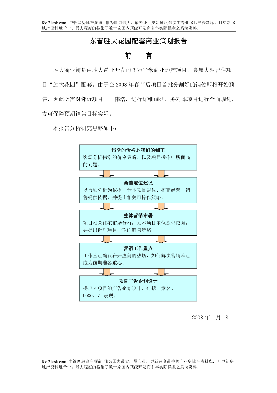 山东东营胜大花园配套商业策划报告_第1页