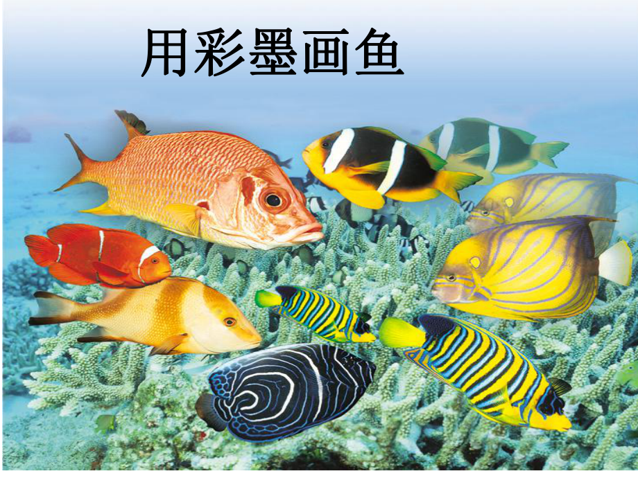 用彩墨畫(huà)魚(yú) (2)_第1頁(yè)