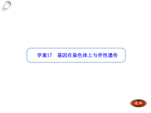 【金版方案】2014高考生物一輪復(fù)習“學案”課件：第17講基因在染色體上與伴性遺傳