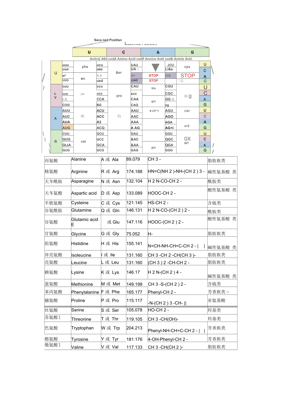 氨基酸密码子对照表_第1页