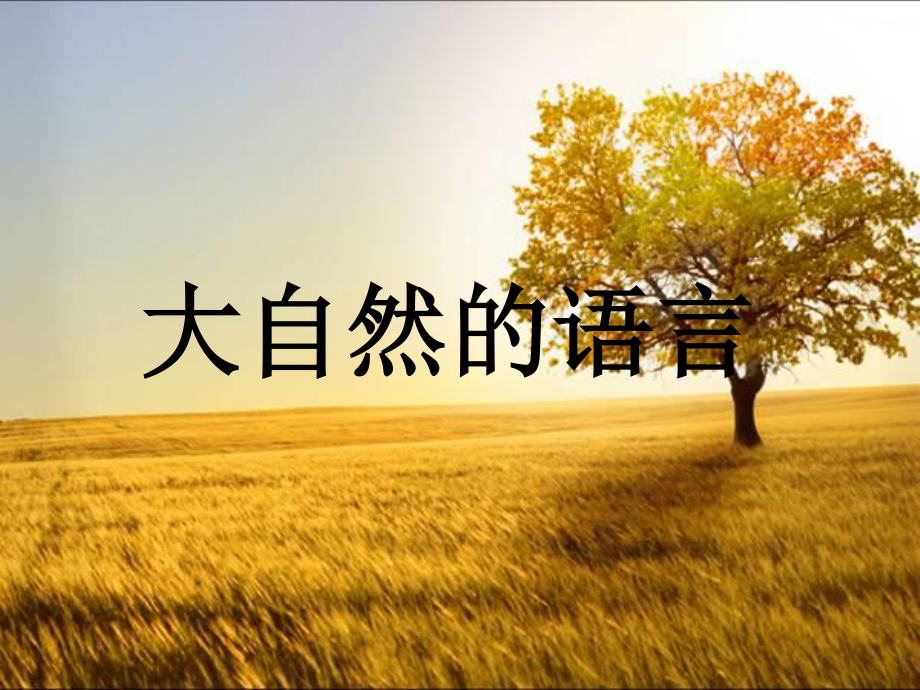 語(yǔ)言-大自然的語(yǔ)言_第1頁(yè)