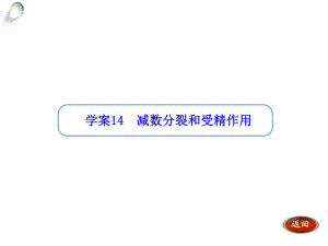 【金版方案】2014高考生物一輪復習“學案”課件：第14講減數(shù)分裂和受精作用