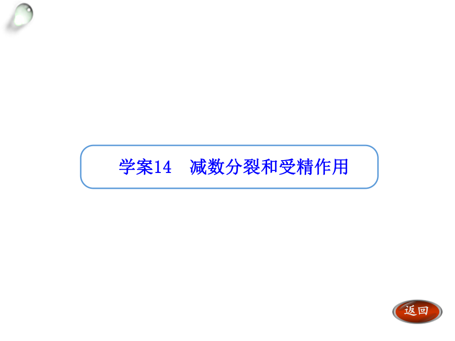 【金版方案】2014高考生物一輪復(fù)習(xí)“學(xué)案”課件：第14講減數(shù)分裂和受精作用_第1頁