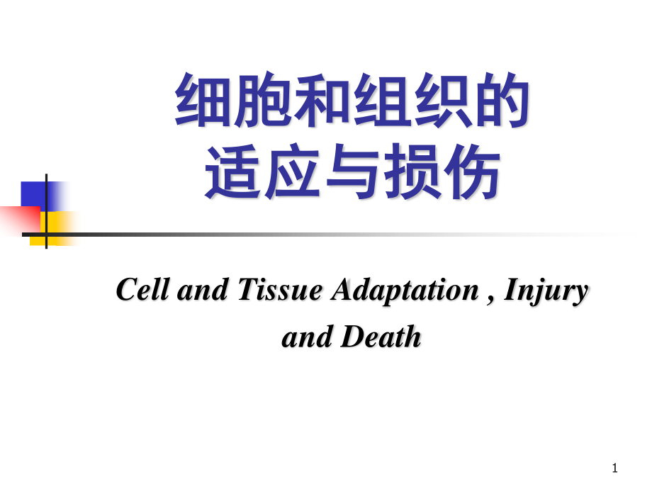 （優(yōu)質(zhì)課件）病理學(xué)細(xì)胞和組織的適應(yīng)與損傷_第1頁(yè)