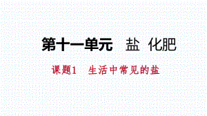 課題1　生活中常見的鹽第2課時　復(fù)分解反應(yīng)