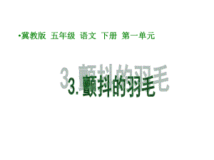 五年級下冊語文課件－《顫抖的羽毛》｜冀教版