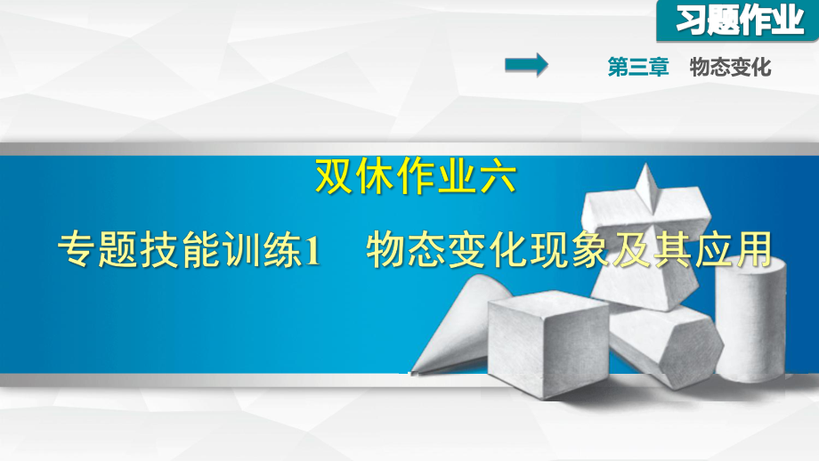 雙休作業(yè)六專題技能訓(xùn)練1 物態(tài)變化現(xiàn)象及其應(yīng)用_第1頁