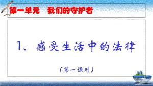 部編版六年級上道德與法治第1課 感受生活中的法律 課件