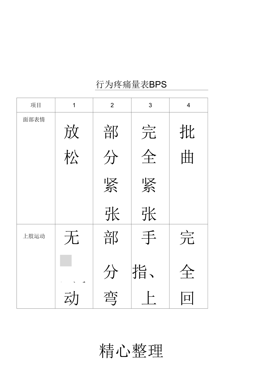 行为疼痛量表格模板BPS_第1页