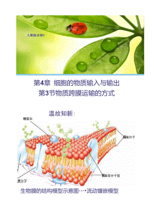 【生物】4.3物質(zhì)跨膜運(yùn)輸?shù)姆绞秸n件1(人教版必.