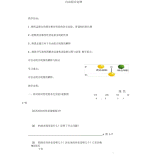 人教版高中必修二生物《自由組合定律》學案