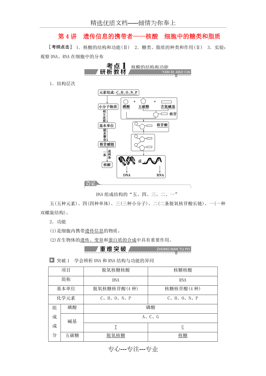 全國(guó)2018版高考生物大一輪復(fù)習(xí)第一單元細(xì)胞的分子組成第4講遺傳信息的攜帶者--核酸細(xì)胞中的糖類和脂質(zhì)學(xué)案(共19頁(yè))_第1頁(yè)