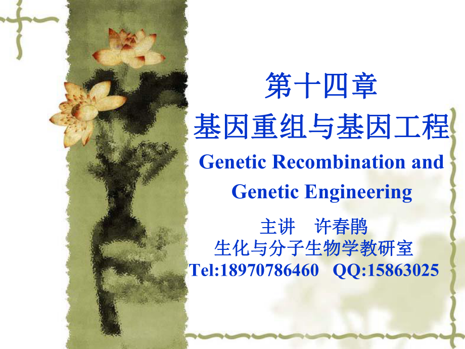 第十四章基因重组与基因工程(人卫第七版)_第1页