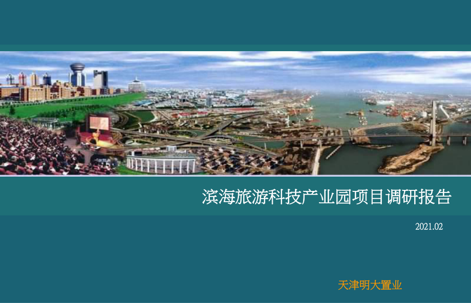 天津滨海旅游科技产业园项目调研报告_第1页