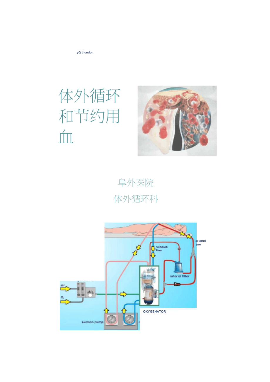 体外循环与节约用血-阜外心血管病医院龙村._第1页