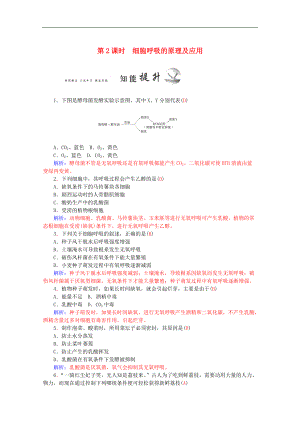 新人教版高一生物專題：ATP的主要來源-細胞呼吸 (2)含答案