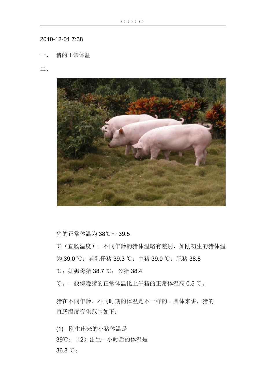 猪的正常体温_第1页