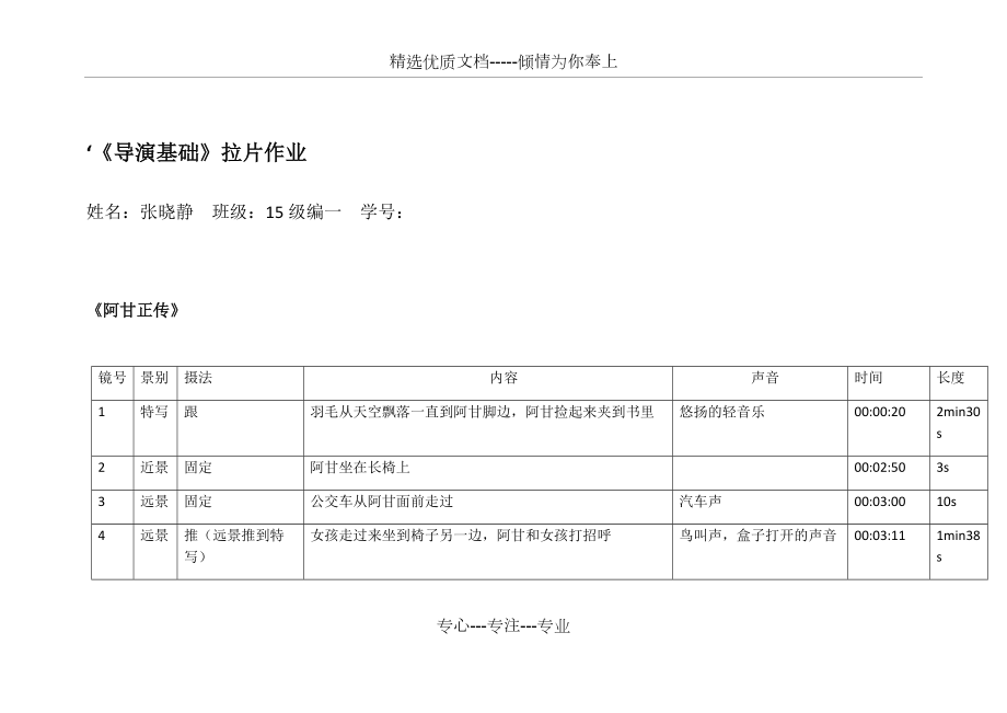 导演基础拉片作业(共13页)_第1页