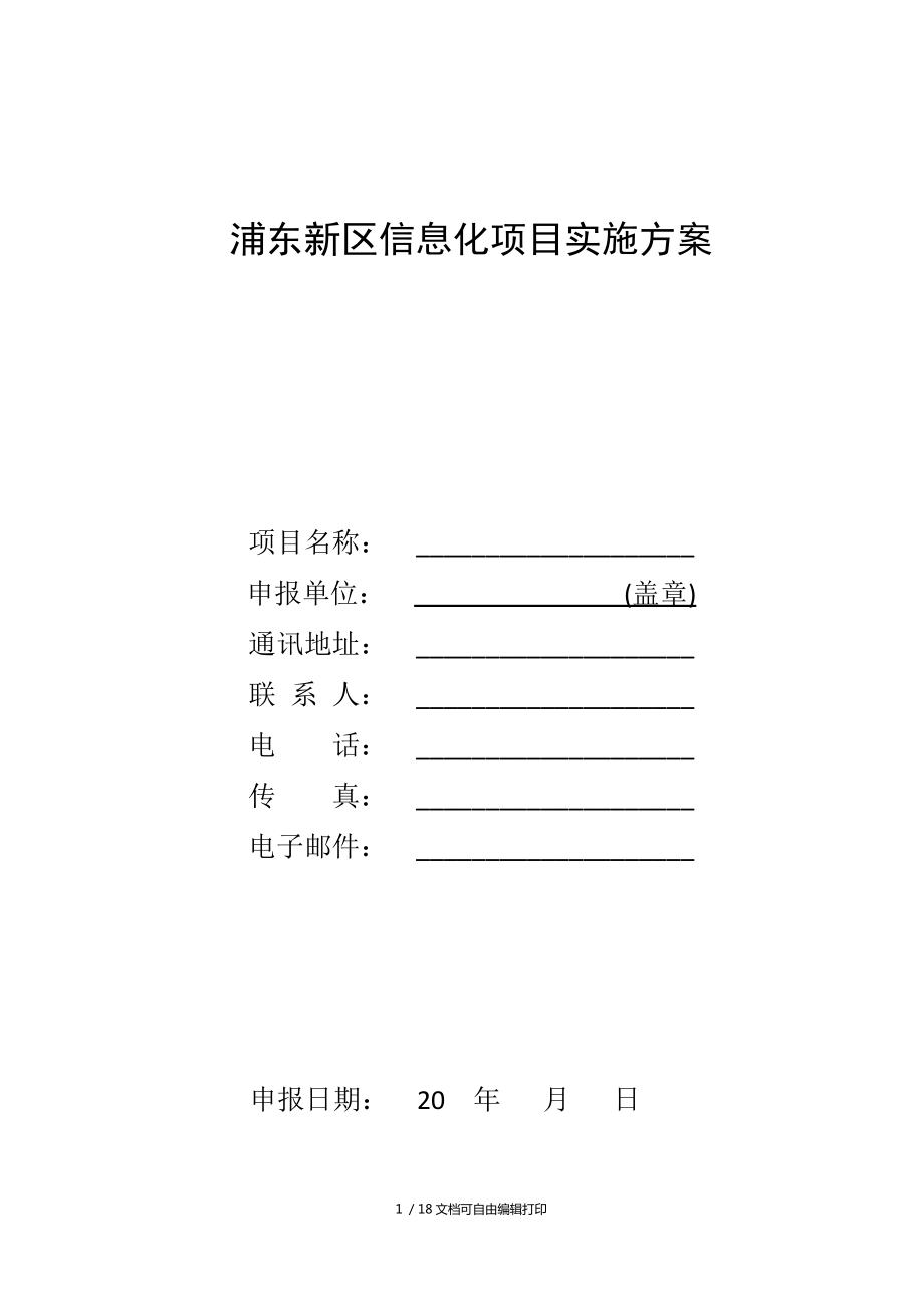 浦东新区信息化项目实施方案_第1页