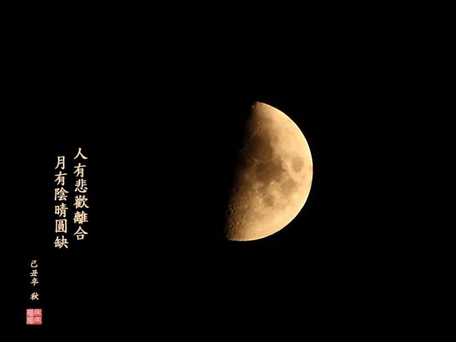 公开课及承天寺夜游_第1页