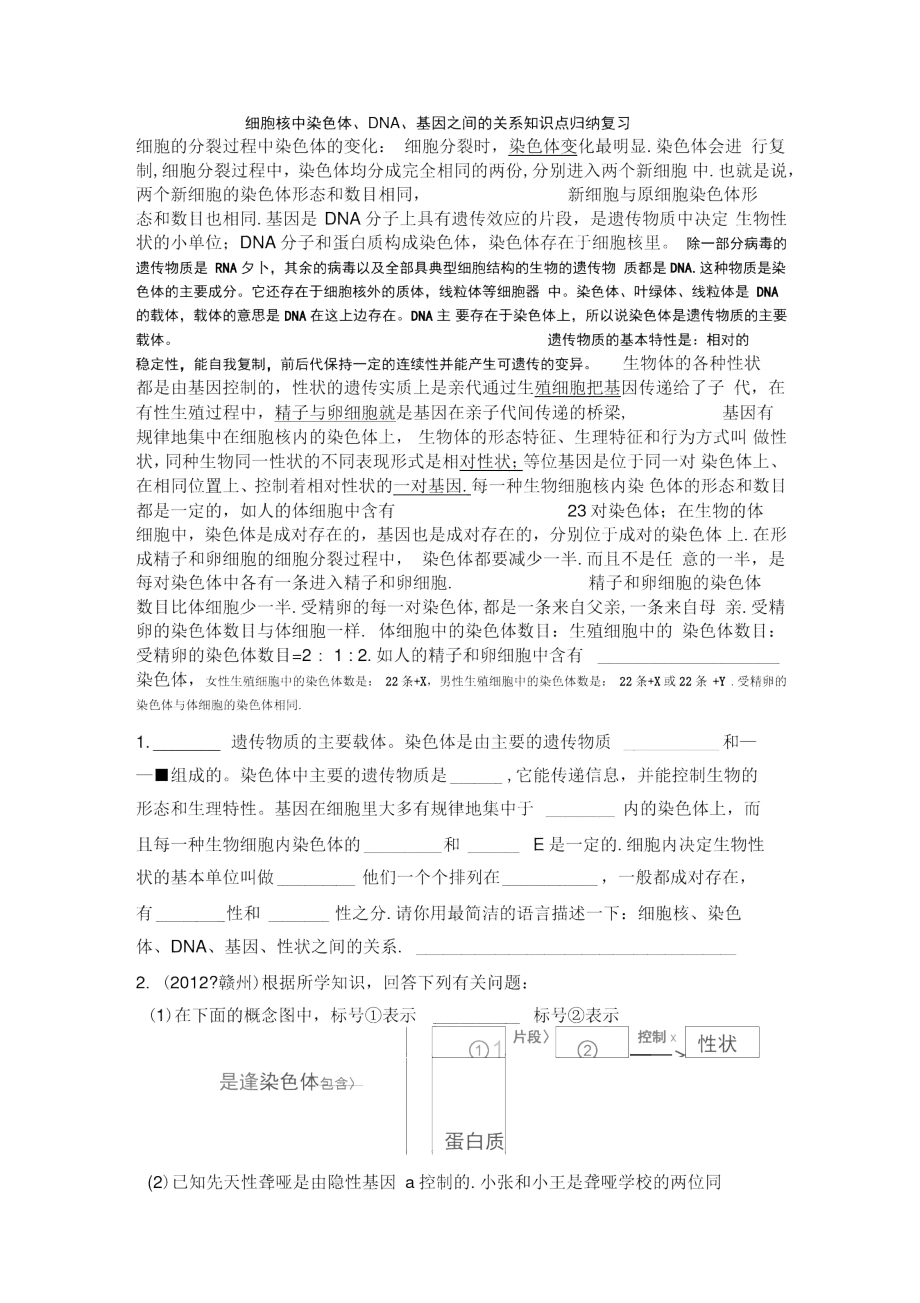 细胞核中染色体、DNA、基因之间的关系知识点归纳复习_第1页