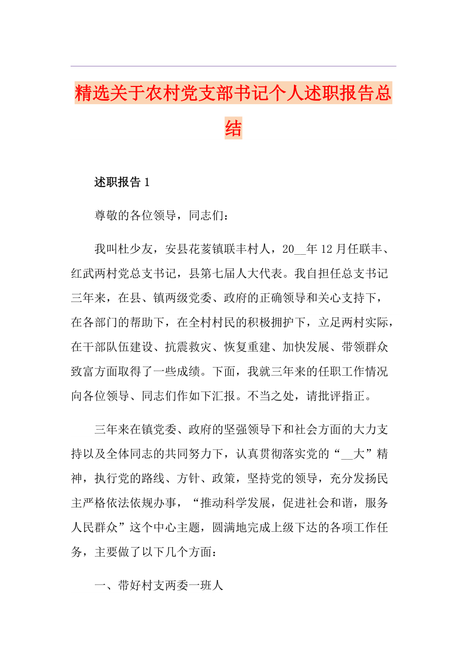 精选关于农村党支部书记个人述职报告总结_第1页