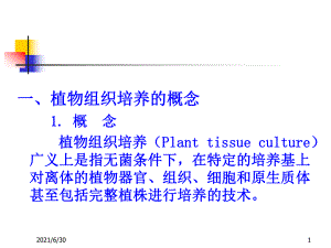 高中生物選修一 植物組織培養(yǎng)技術(shù)