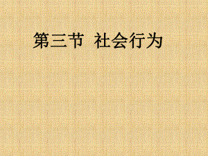 八年級生物上冊《動物的社會行為》課件-新人教版