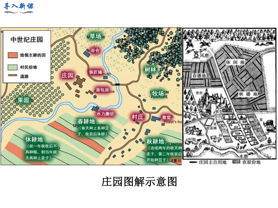 第8課 西歐莊園_第1頁