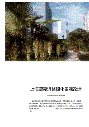 上海肇嘉浜路绿化景观改造