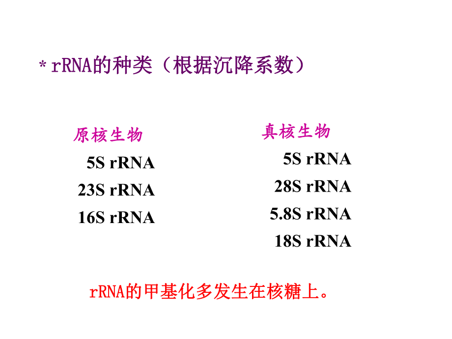 生物化學：第二章 核酸b_第1頁