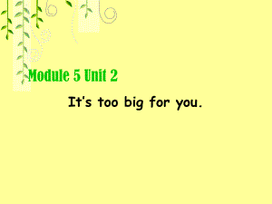 五年级下英语课件-Module5-It’s-too-big-for-you-外研版
