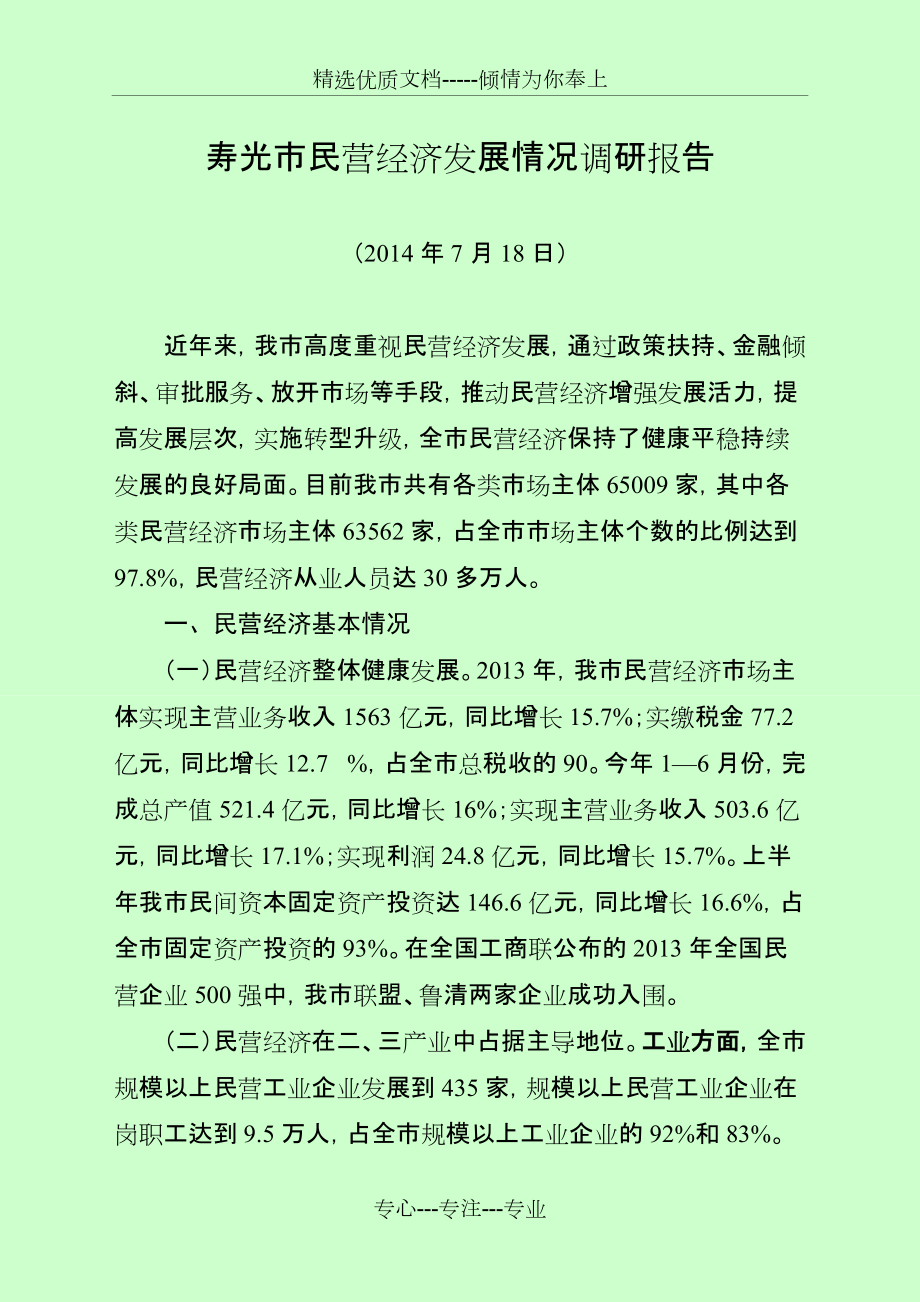 寿光市民营经济发展情况调研报告(共14页)_第1页