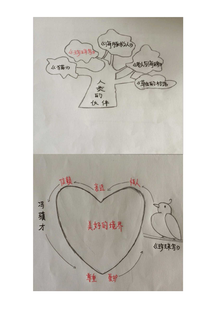 《珍珠鸟》思维导图