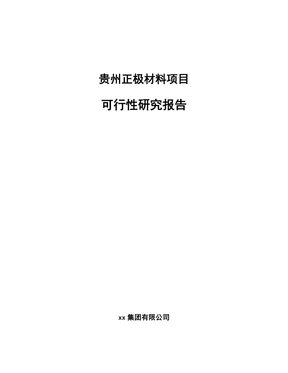 贵州正极材料项目可行性研究报告_第1页
