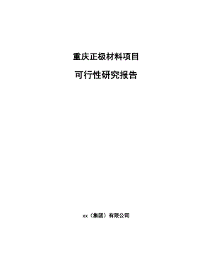 重庆正极材料项目可行性研究报告
