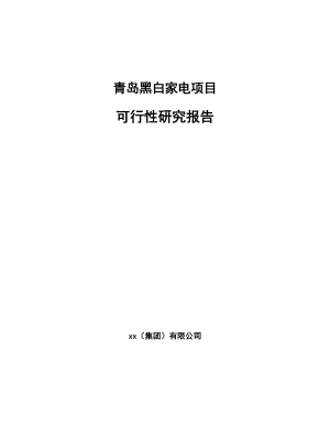 青岛黑白家电项目可行性研究报告