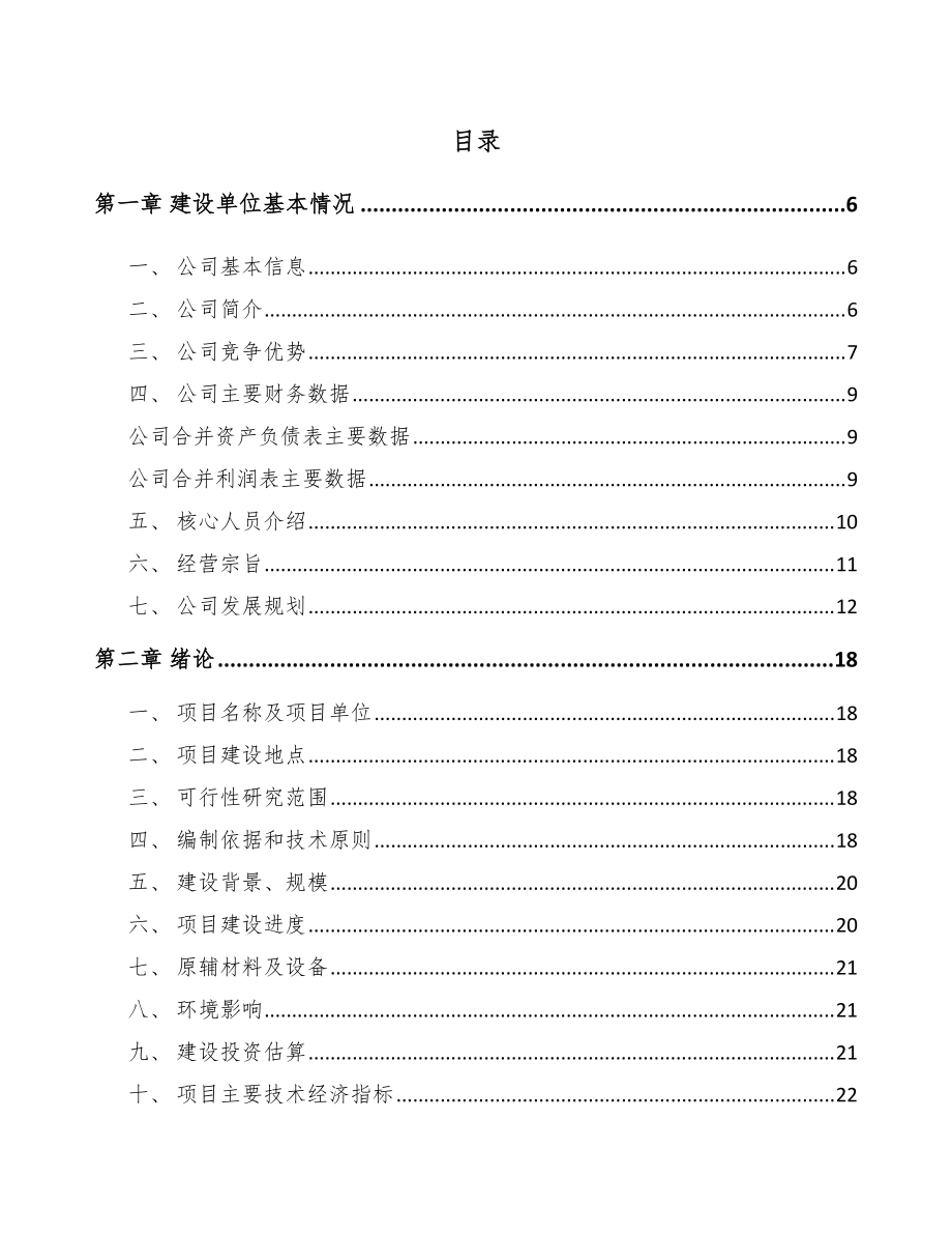 邵阳水上游乐设备项目可行性研究报告_第1页