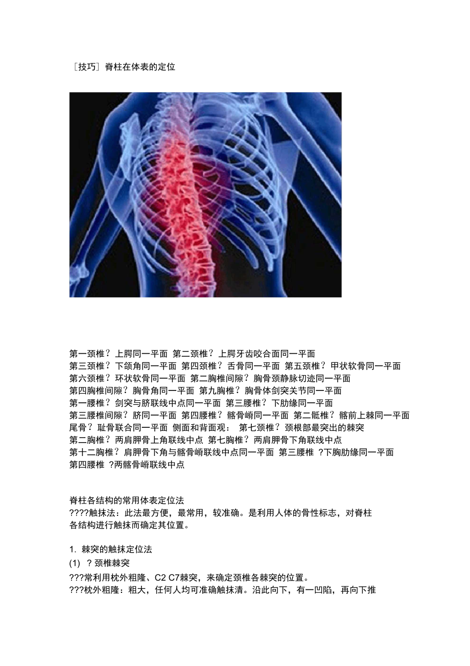 技巧脊柱在体表的定位