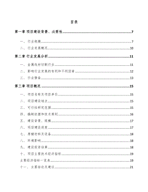 重庆钢线项目可行性研究报告