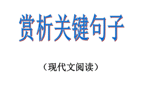 賞析句子的表達效果現(xiàn)代文閱讀 語文教學課件PPT