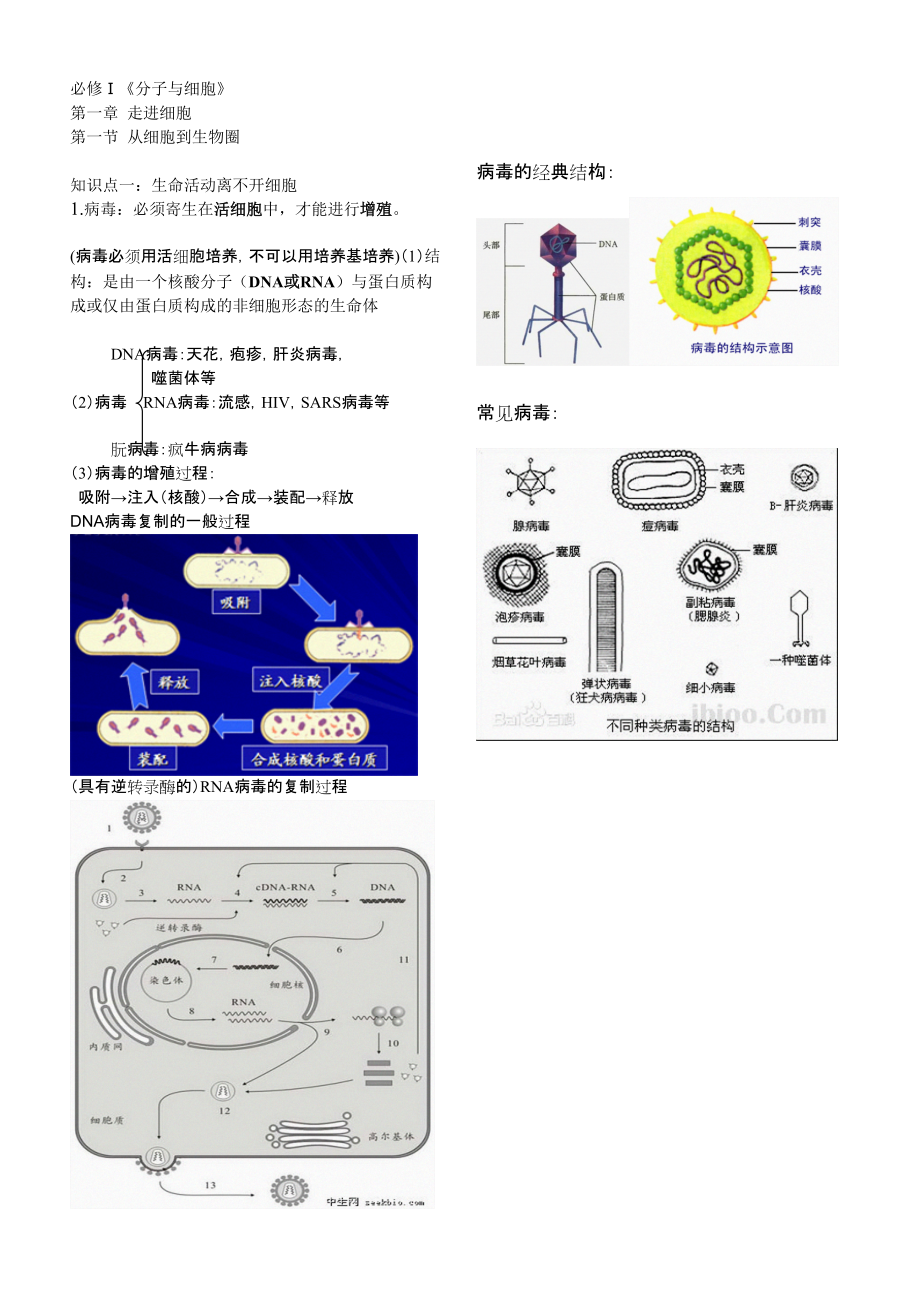 高考復(fù)習(xí)必修Ⅰ 知識(shí)點(diǎn)梳理_第1頁