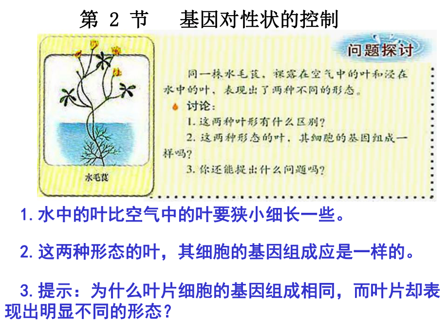 基因?qū)π誀畹目刂?生物教學課件PPT_第1頁