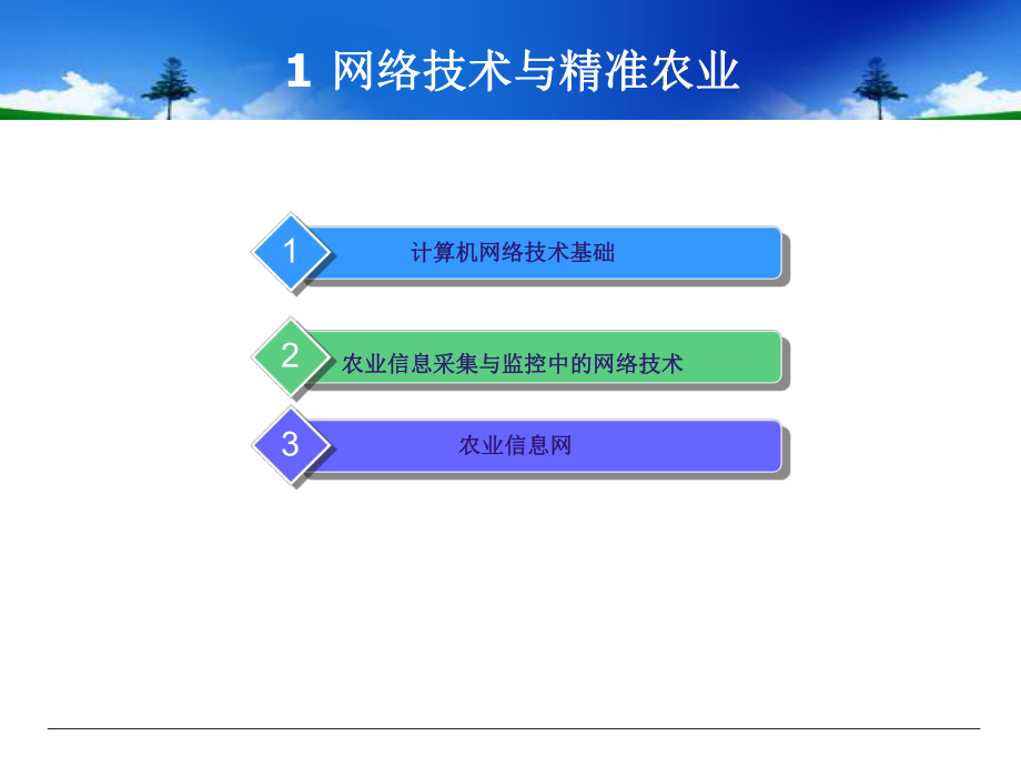 网络技术与精准农业_第1页