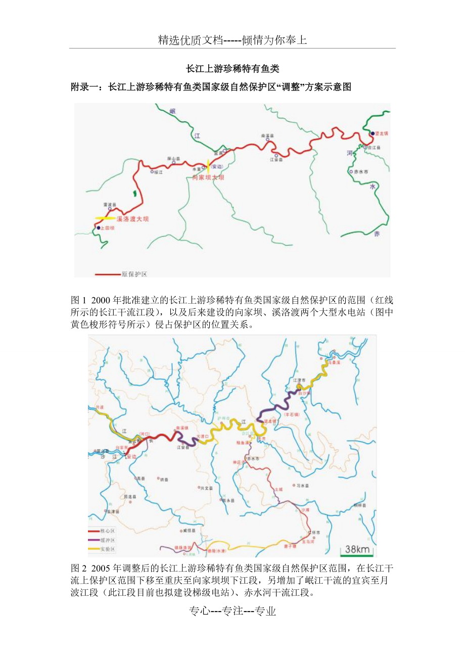 長江上游珍稀特有魚類(共7頁)_第1頁