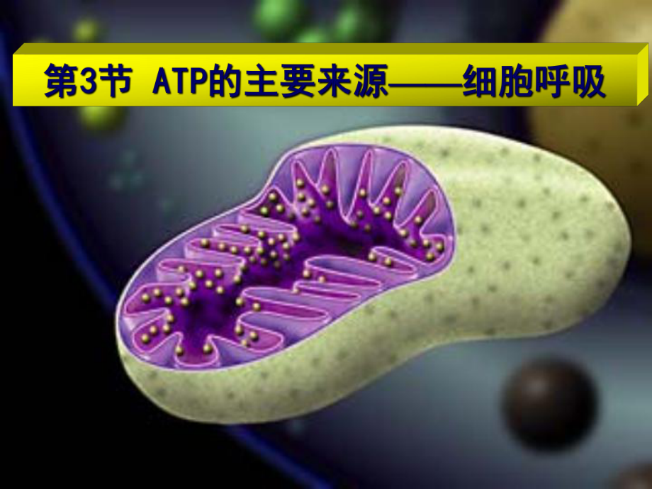 第3節(jié) ATP的主要來源——細胞呼吸生物教學課件PPT_第1頁