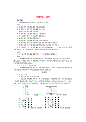 高考物理總復(fù)習 考查點19 磁場練習