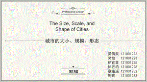 第15组 城市的规模、大小、形态