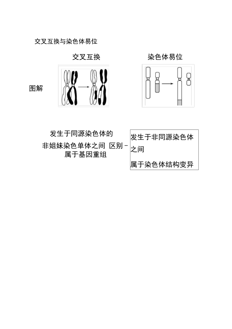 交叉互换与染色体易位